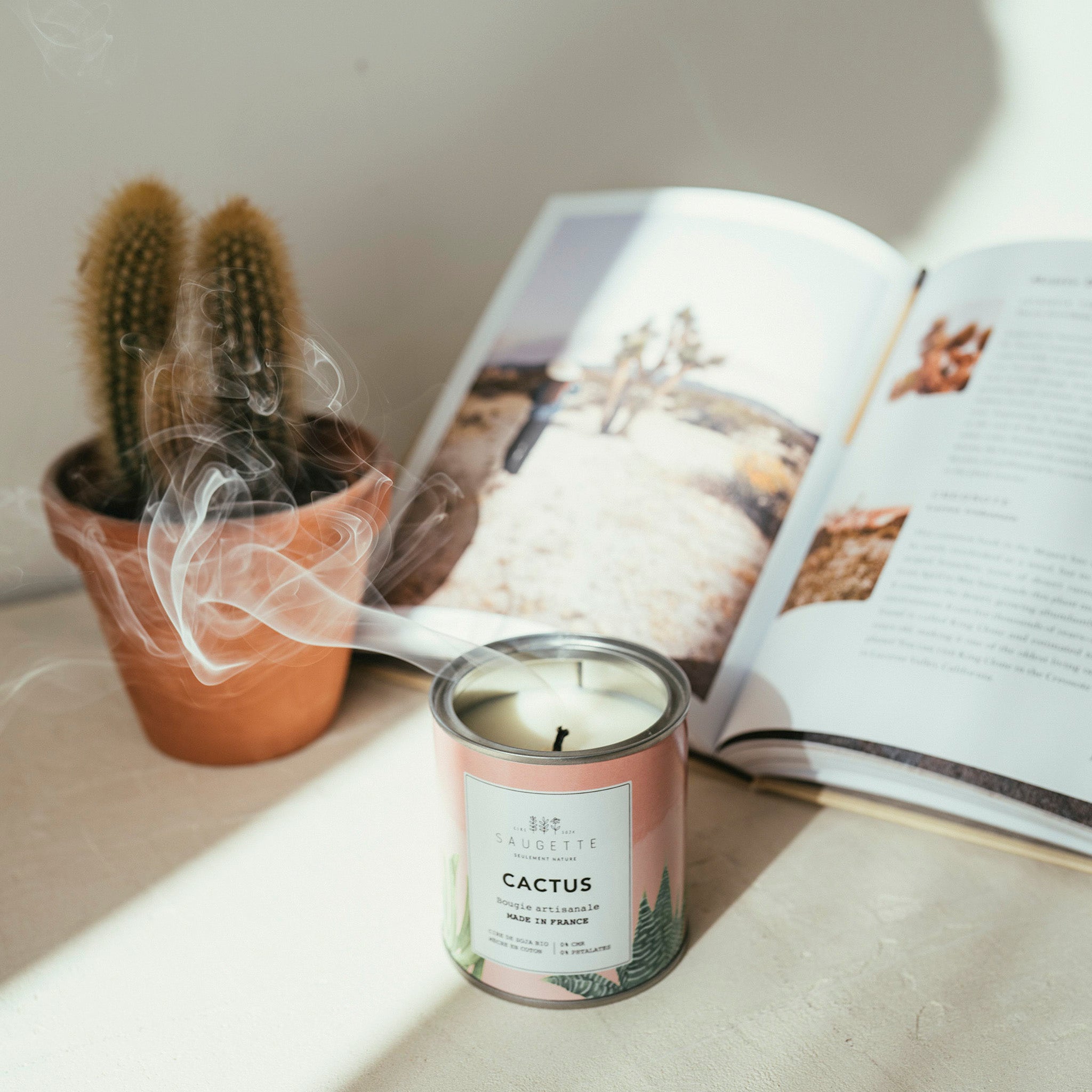 Bougie Parfumée En Forme De Cactus - Faite Main - 7.4x3.6x6 Cm - Paraffine & Cire De Soja - Pour Aromathérapie & Décoration